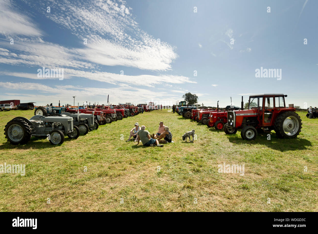 Wensleydale spettacolo agricolo, Leyburn, North Yorkshire, Agosto 2019. Vintage display del trattore. Foto Stock