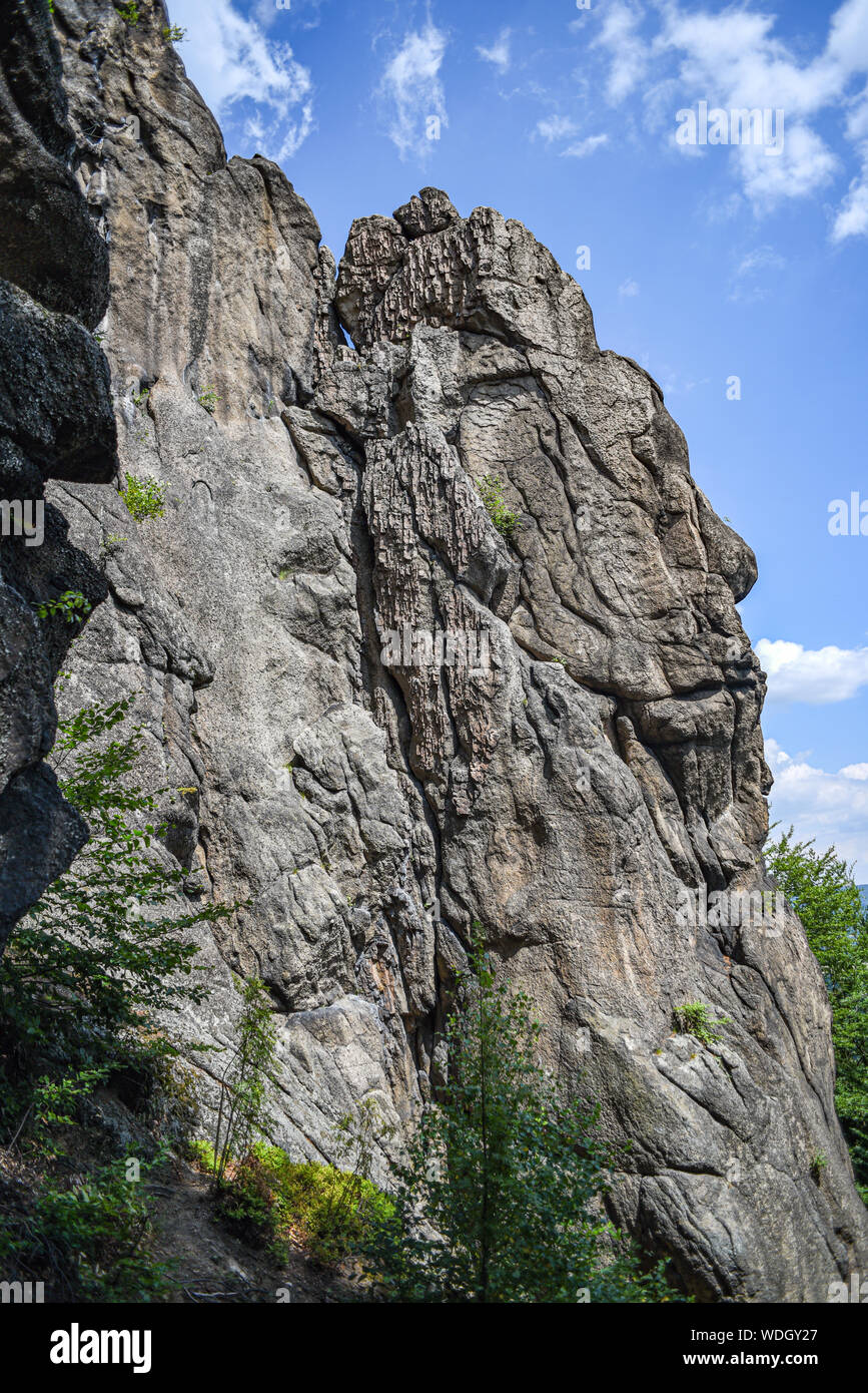 Paesaggio di Sokoliki, rock climbing area in Polonia. Foto Stock