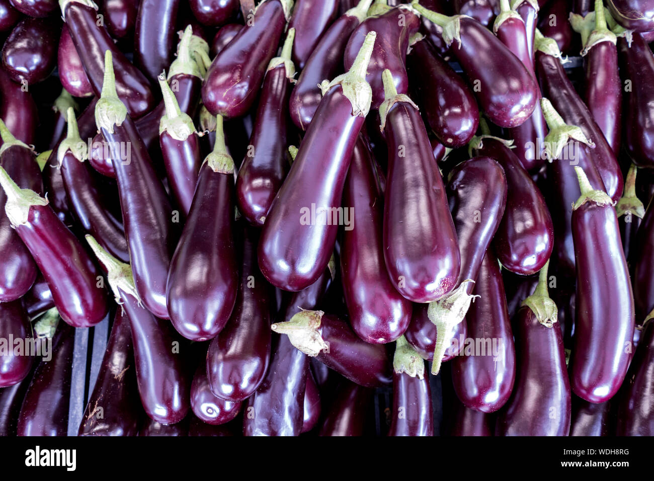 Melanzane al mercato per uso in background Foto Stock