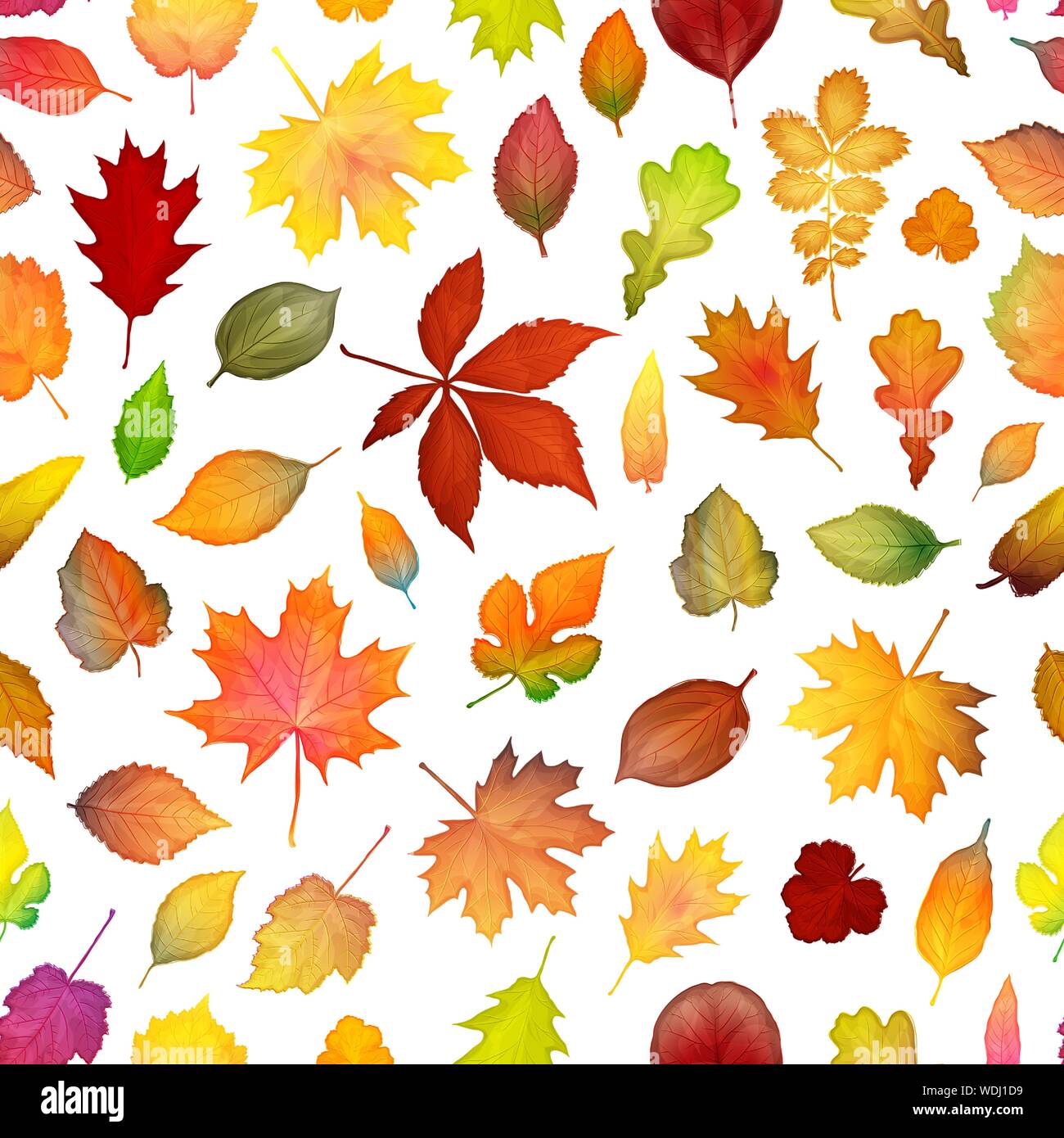 Colorato Foglie di autunno seamless pattern sfondo. Illustrazione Vettoriale Illustrazione Vettoriale