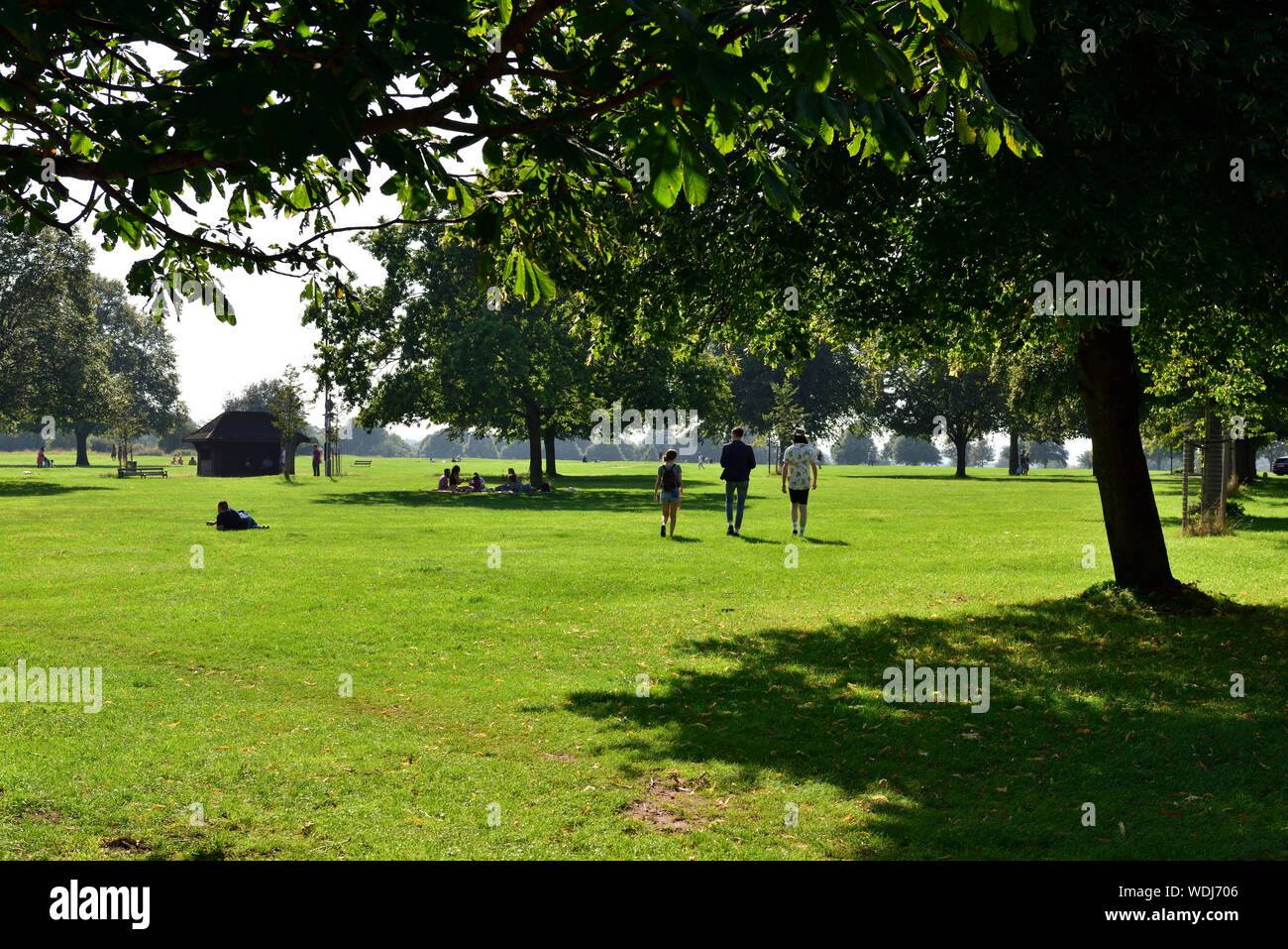 Prato e alberi con persone rilassante di sole o per una passeggiata sul Bristol Downs Durdham public city park, Regno Unito Foto Stock