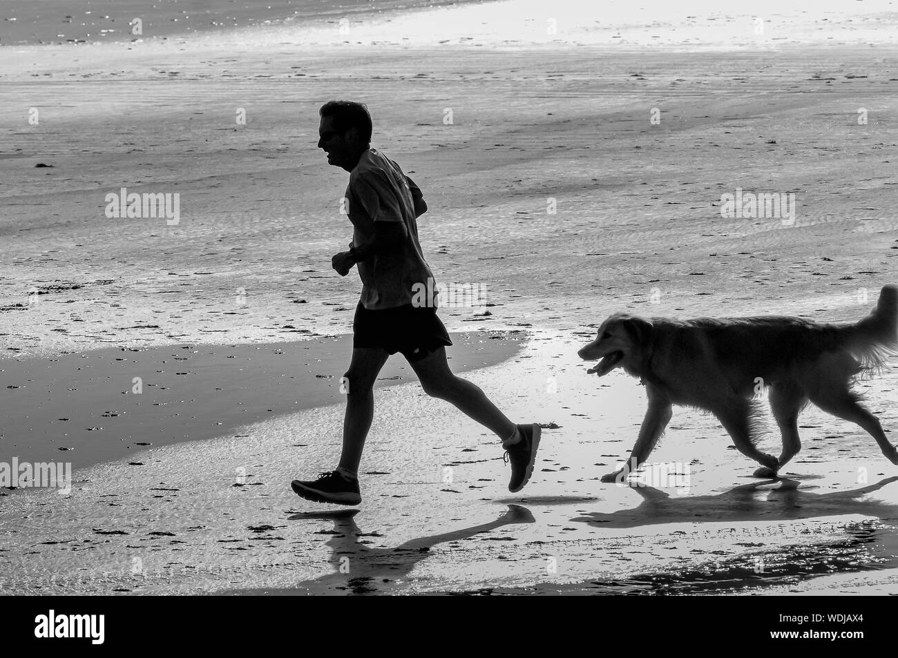 Per un inizio jog questo medioevo l uomo è ancora in grado di percorrere una distanza. Ma il suo miglior amico questo molto più vecchio cane sta avendo un momento difficile tenere il passo. Foto Stock