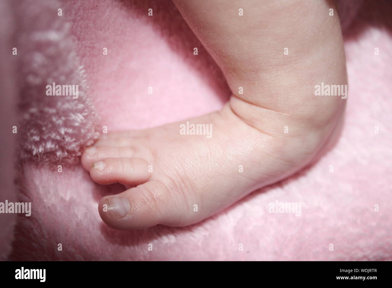 Close-up di Baby piede sul giocattolo rosa Foto Stock