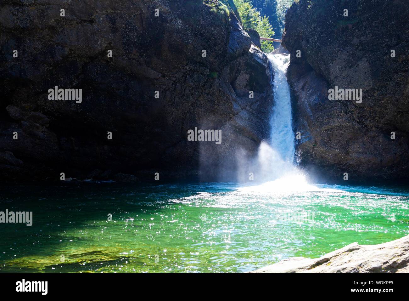 Una cascata e una piscina naturale di acqua nelle Alpi Foto Stock