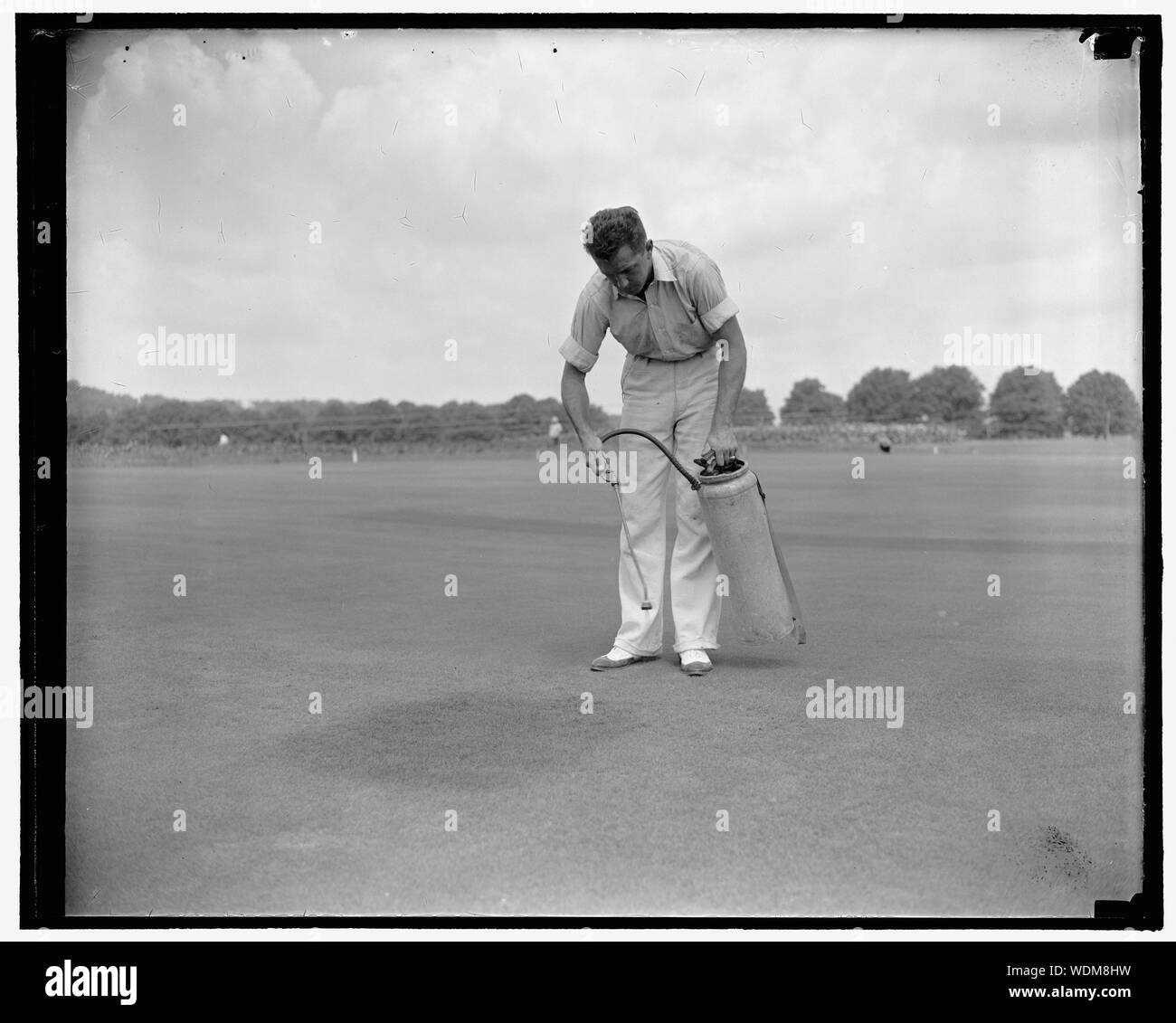 Campo da golf erba ora colorato di verde per putters nervoso. Washington, D.C., e il agosto 5. Sistema nervoso i golfisti che hanno lamentato che alcuni insetticidi utilizzati su verdi girato l'erba marrone, creando così un pericolo mentale che rovinavano il loro gioco, non hanno alcuna scusa ora. Gli esperti degli Stati Uniti Dipartimento di Agricoltura, lavorando con gli Stati Uniti d'oro, Associazione hanno combinato un insetticida con un verde che, quando irrorato non danneggia l'erba sani ma migliora sia il colore della disomogeneità di verdi e i temperamenti dei golfisti che la colpa loro a mettere su il colore non uniforme dei verdi. Il nuovo colorante è in uso Foto Stock
