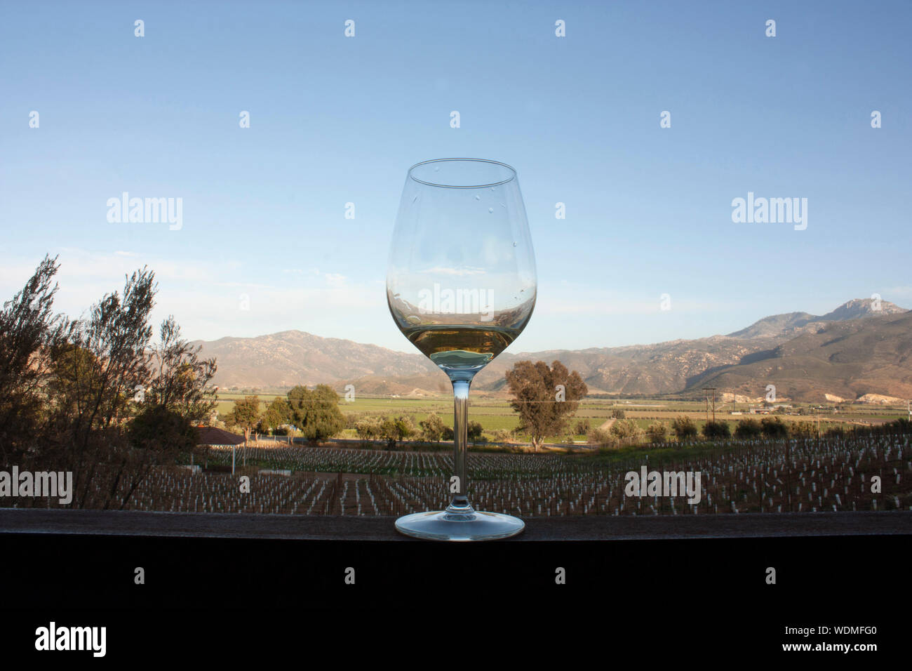 Il vetro speciale whithe di vino per la degustazione in un bicchiere di cristallo che a sua volta rivela l'effetto della rifrazione della luce in combinazione con aria in mounta Foto Stock