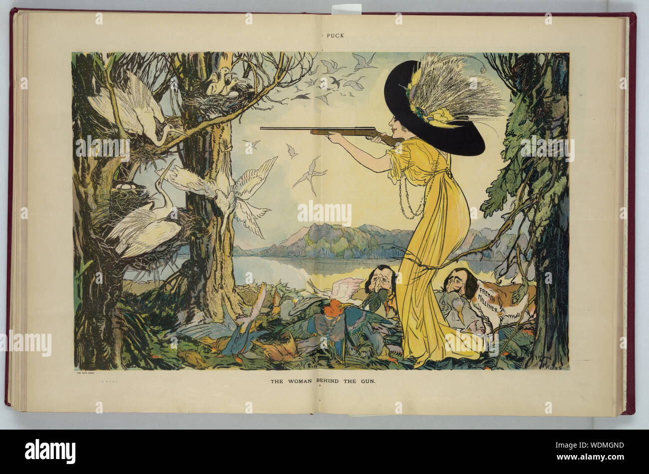 La donna dietro la pistola illustrazione mostra una donna, eventualmente Coco Chanel, indossando un cappello di grandi dimensioni con le piume, le riprese a grandi uccelli bianchi con un fucile due cani marcato modista francese luogo di uccelli morti su un palo a suoi piedi. Foto Stock