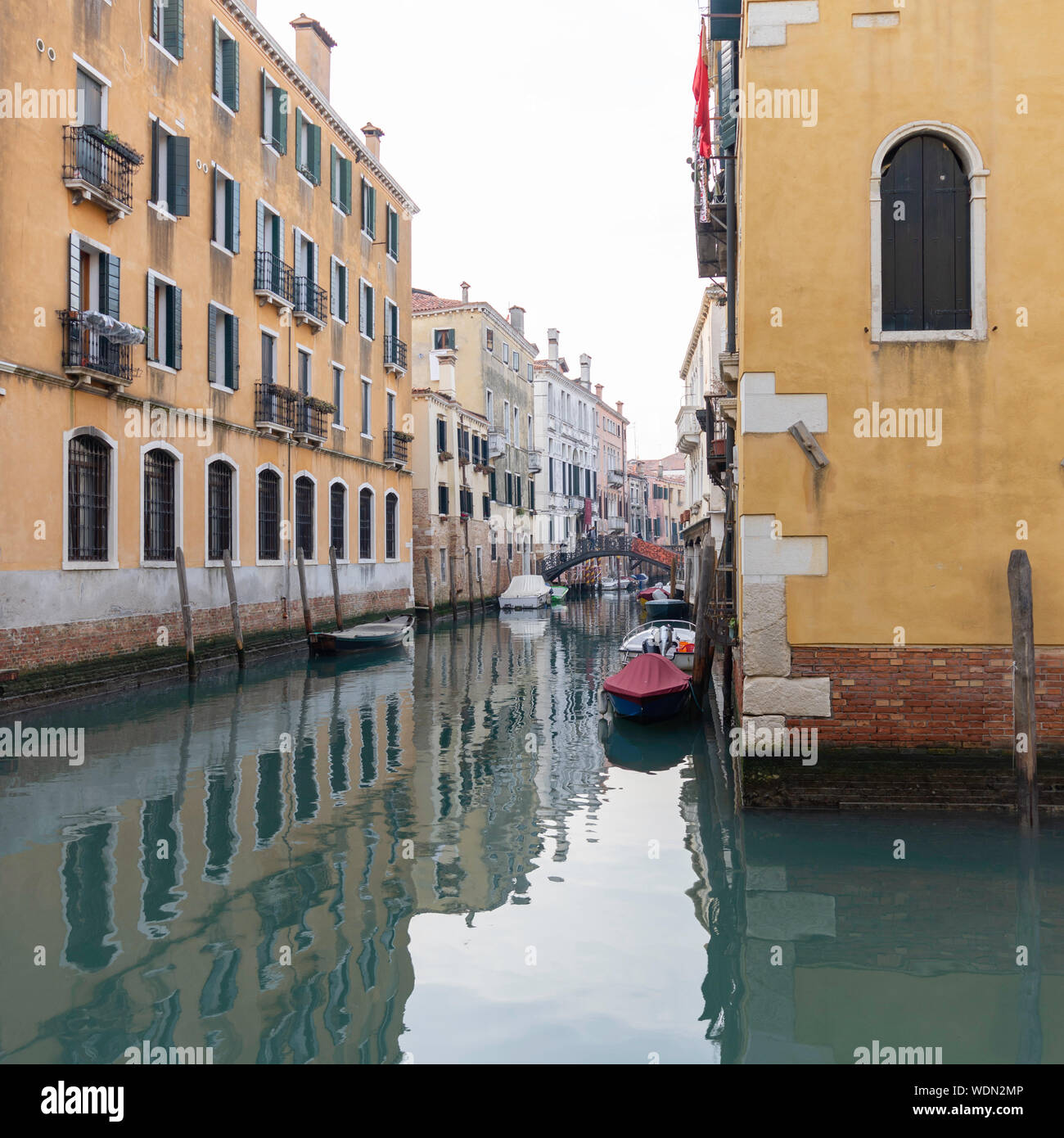 Venezia Italia in primavera Foto Stock