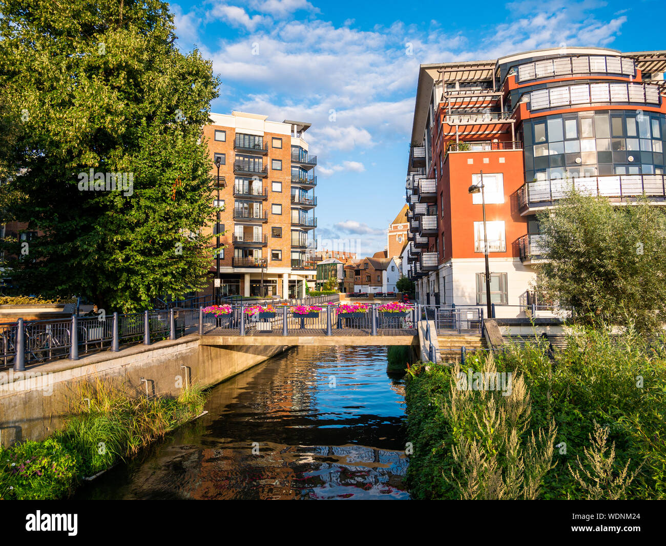 La piccola Venezia a Kingston upon Thames di Fiume in una giornata di sole - London REGNO UNITO Foto Stock