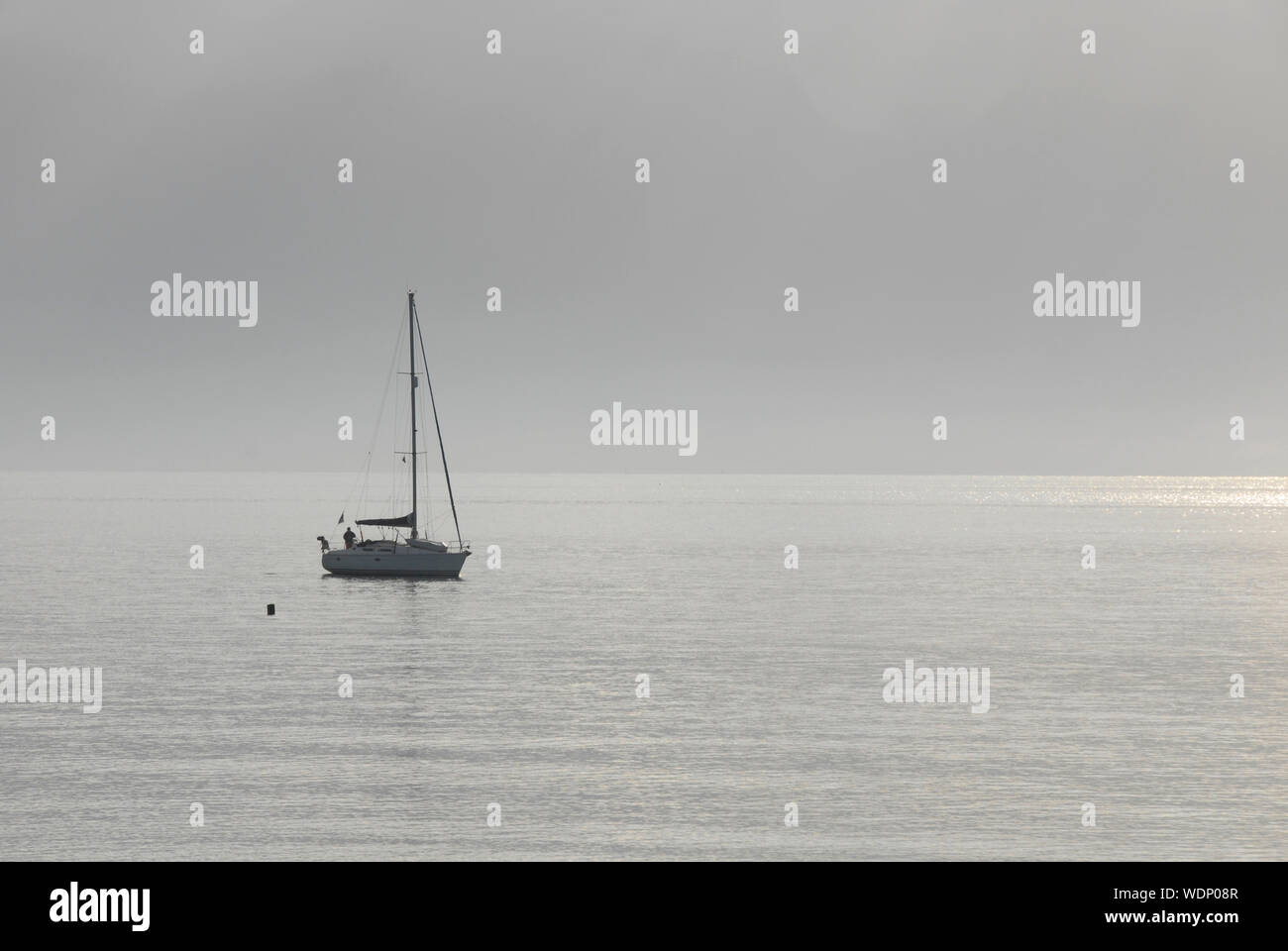 Immagine monocromatica di lone yacht sotto la potenza del motore in Solent off Southsea, Hampshire, Inghilterra Foto Stock