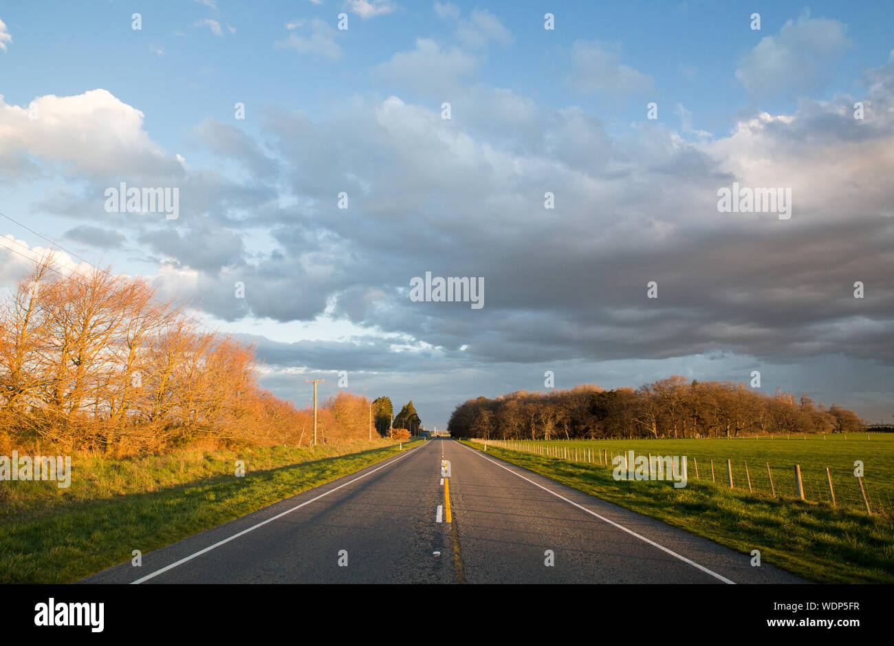 Un paese rurale autostrada nel tardo pomeriggio, Canterbury, Nuova Zelanda Foto Stock