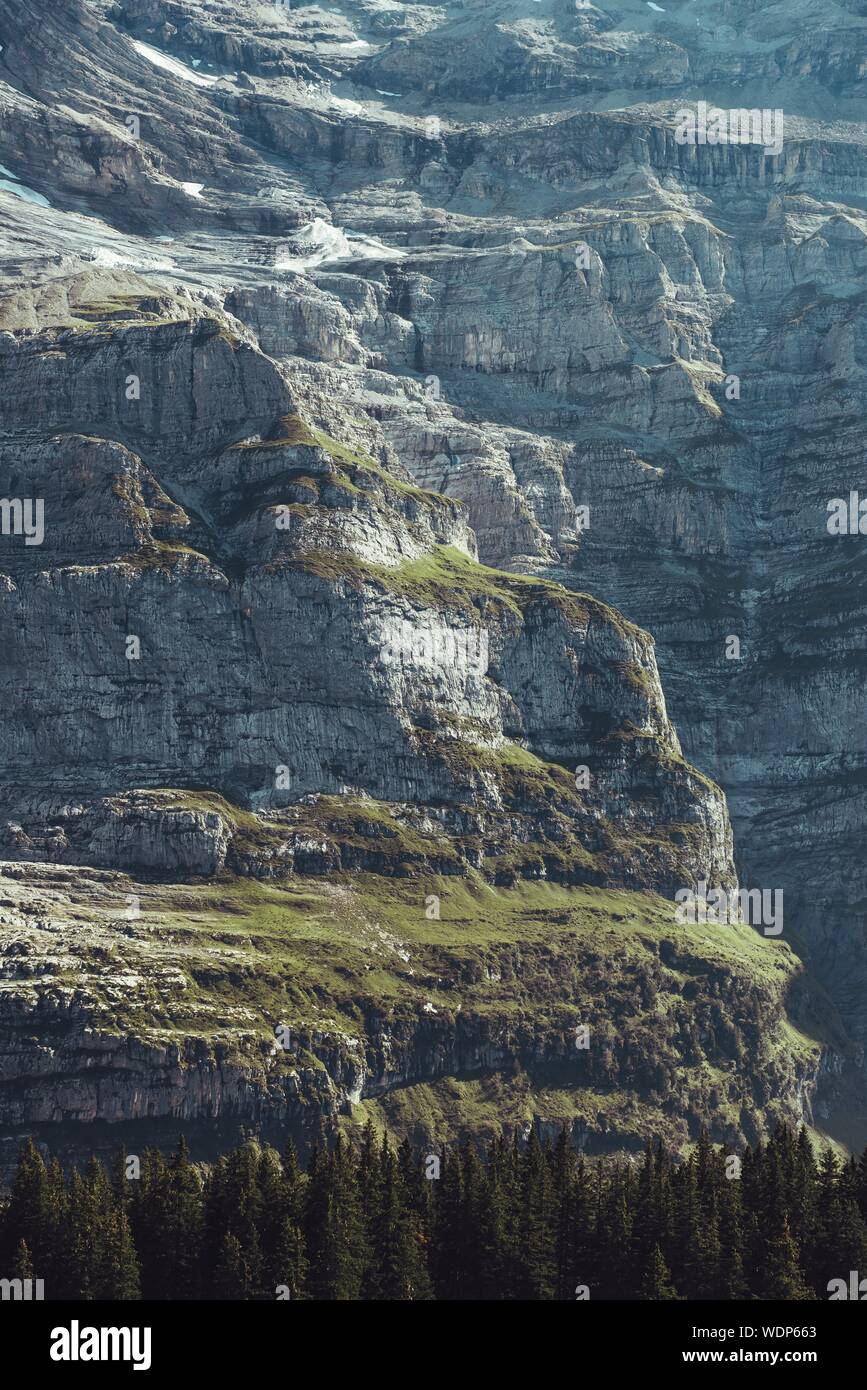 Visualizzazione generica dell'estate panorami alpini visto dal sentiero escursionistico da Wengen a Kleine Scheidegg con scalare le rocce e gli alberi al di sotto. Foto Stock
