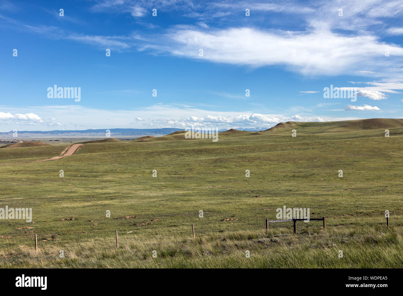 Erba e collinette lungo la Snowy Range Road nel Laramie pianura, un alto-paese prateria a sud di Laramie, Wyoming Foto Stock
