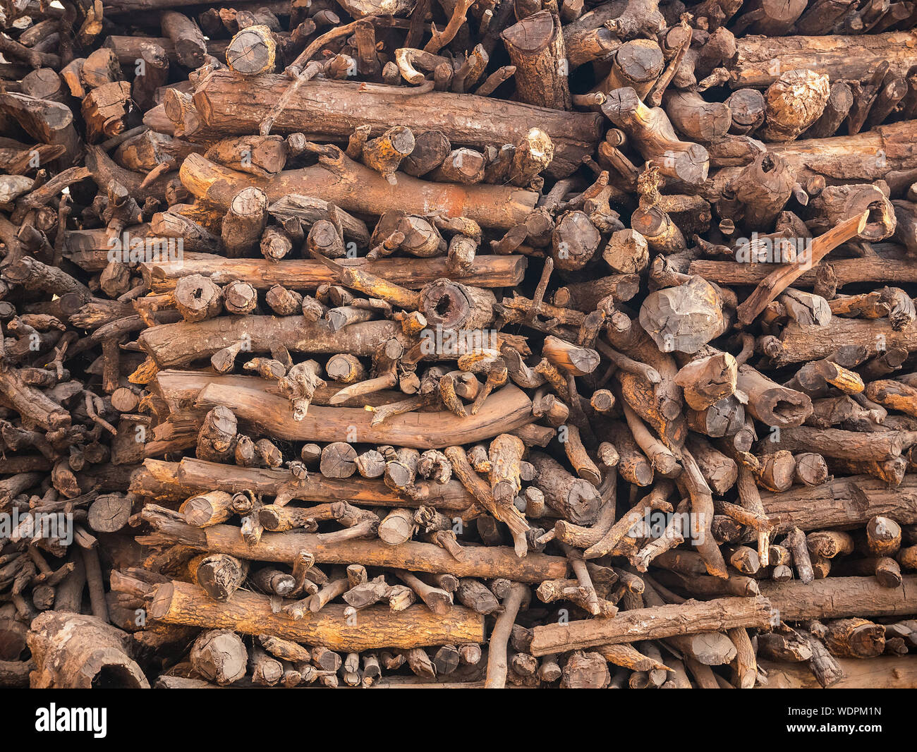 Pila di tronchi di legno per roghi al Manikarnika (Combustione) Ghat di Varanasi, Uttar Pradesh, India, Asia Foto Stock