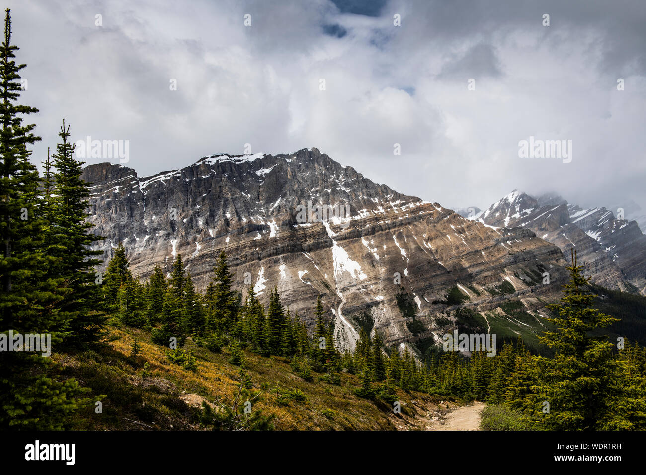 Magnifica vista panoramica durante le escursioni sul vertice di prua Lookout, nel Parco Nazionale di Banff, Alberta Foto Stock