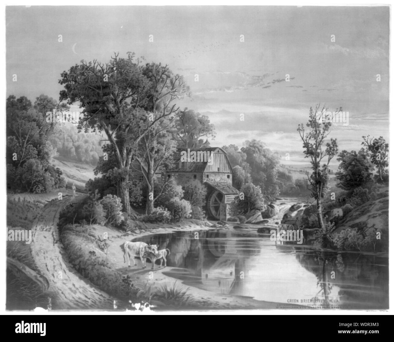 Brier verde fiume W. VA Foto Stock