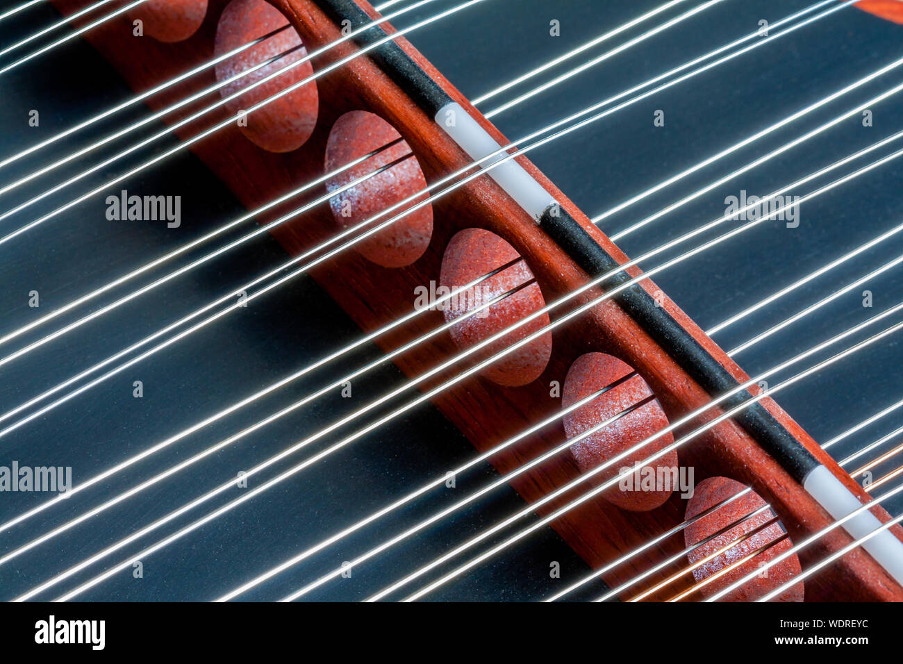 Close-up di strumento a corda Foto Stock