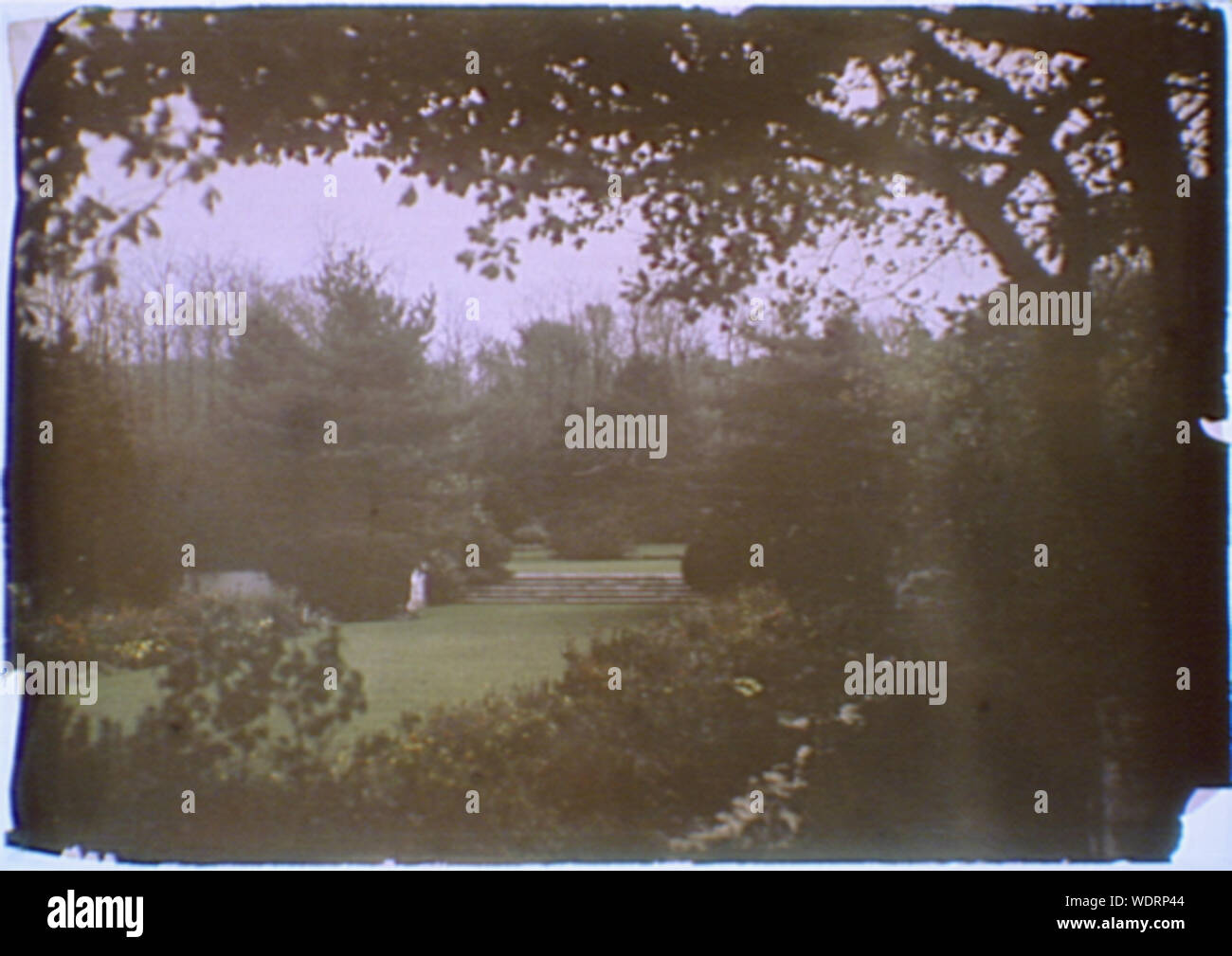 Motivi di Myron C. Taylor proprietà, Locust Valley, Long Island, New York Abstract/medio: Genthe Arnold, 1869-1942. Foto Stock