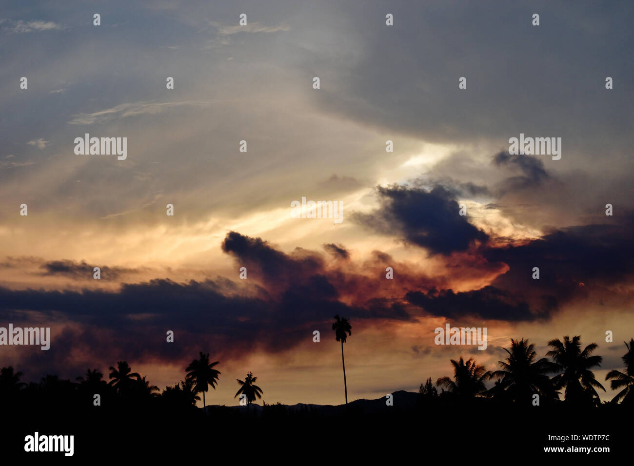 Silhouette di palme da cocco con struttura di colore nero e arancione soffice nuvola al tramonto , in cotone bianco candy nuvole sul tropical blue sky di notte, Thailandia Foto Stock