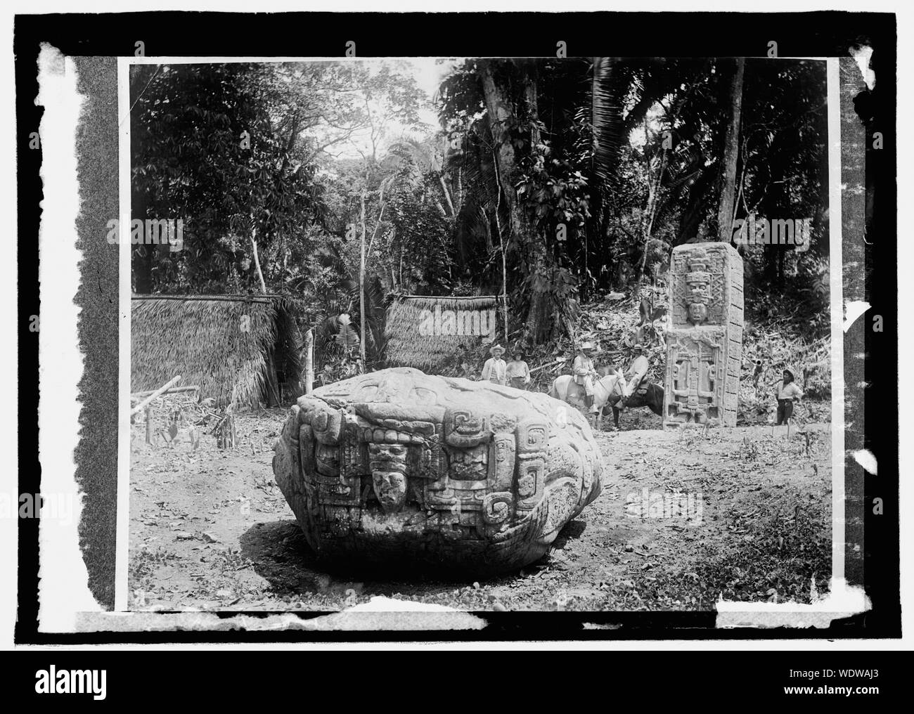 Guatemala. Quirigua pietra astratta dell'immagine/medio: 1 negativi : vetro 5 x 7 in. o più piccolo Foto Stock