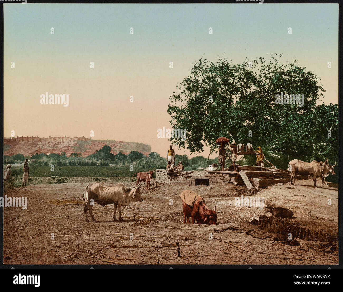 Gwalior. Ooa con il Fort Abstract/medio: 1 stampa : colore photochrom foglio 21 x 27 cm. Foto Stock