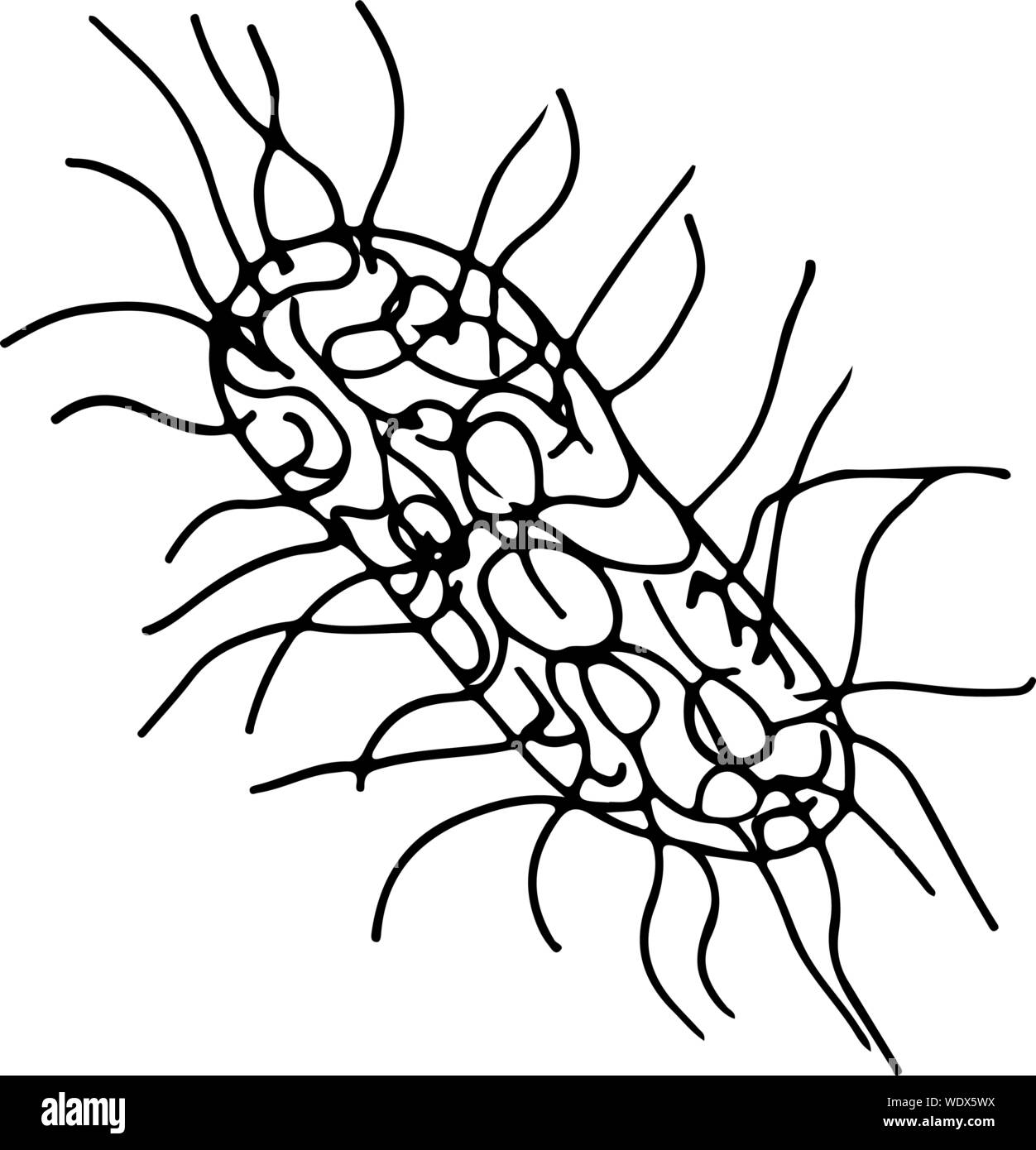 Profilo di microbi icona vettore. Isolato nero semplice elemento linea illustrazione da un concetto medico. Vettoriale modificabile microbo corsa. Icona di virus. Mano Illustrazione Vettoriale