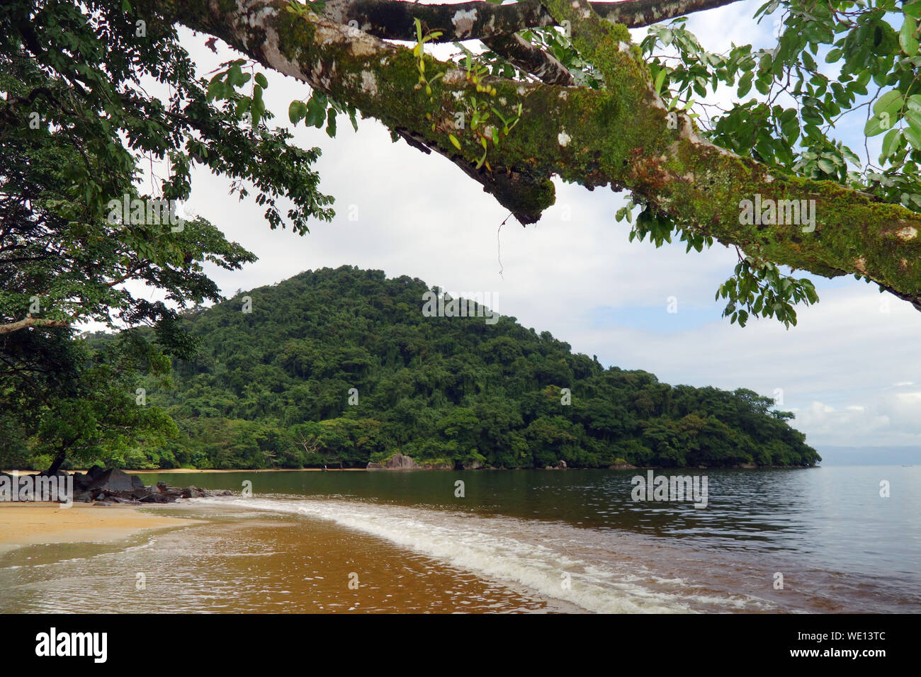 Gli alberi della foresta pluviale che pende sulla spiaggia, Nosy mangabe, Parco Nazionale Masoala, Madagascar Foto Stock