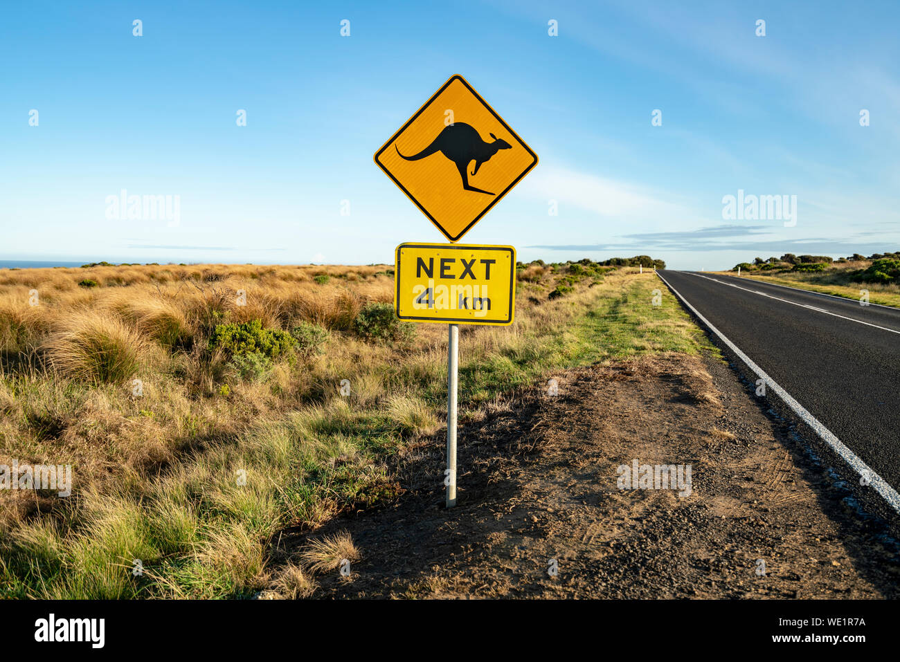 Un simbolo della strada dei canguri contro un cielo blu sulla Great Ocean Road a Victoria, Australia Foto Stock