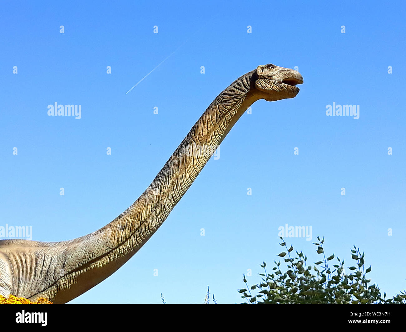 Brontosaurus lungo collo Dinosauro Rettile erbivoro wild jurassic park  pronto ad attaccare Foto stock - Alamy