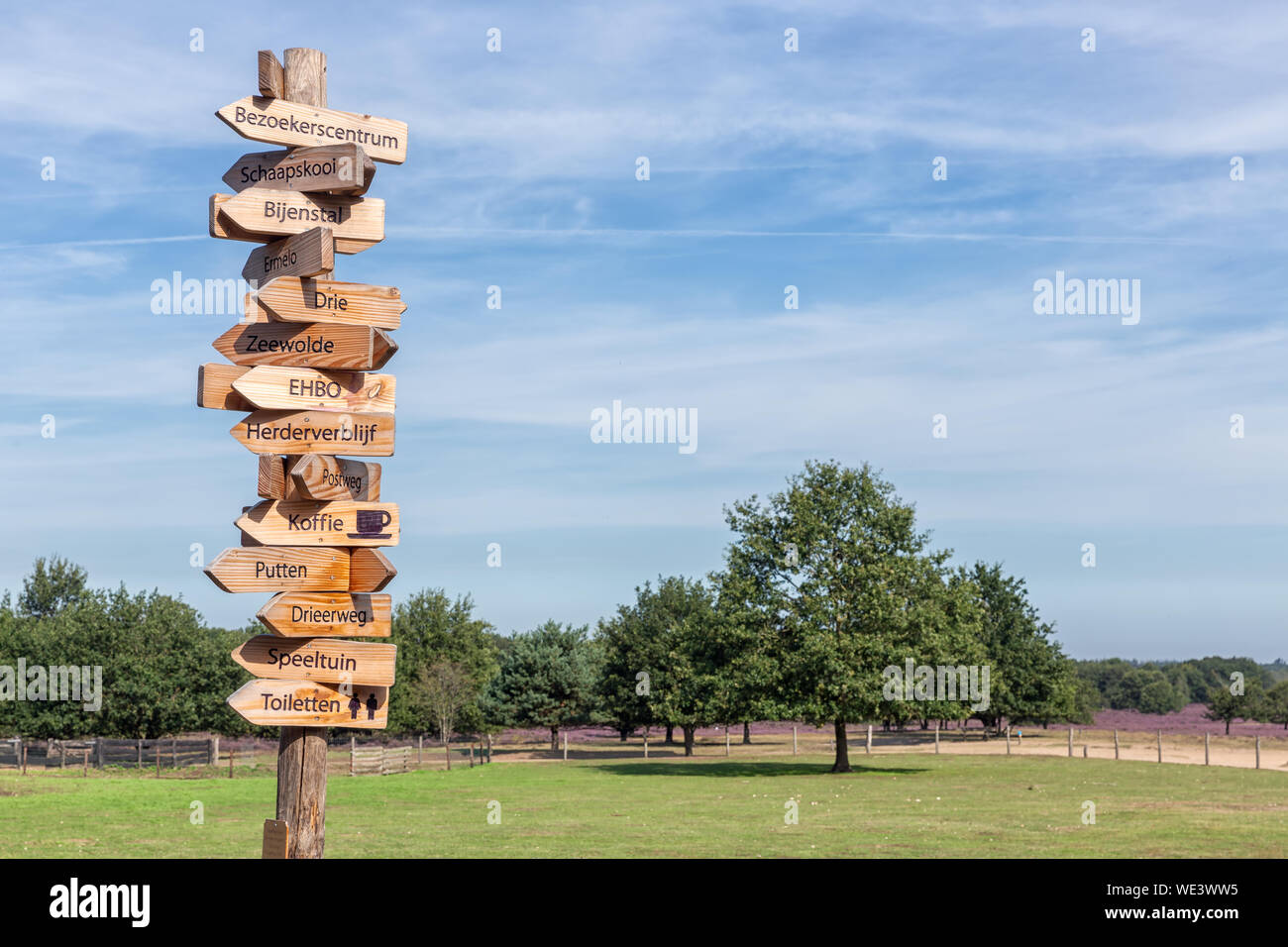 Pole con freccia in legno indicazioni per località vicino a Ermelo ovile Foto Stock