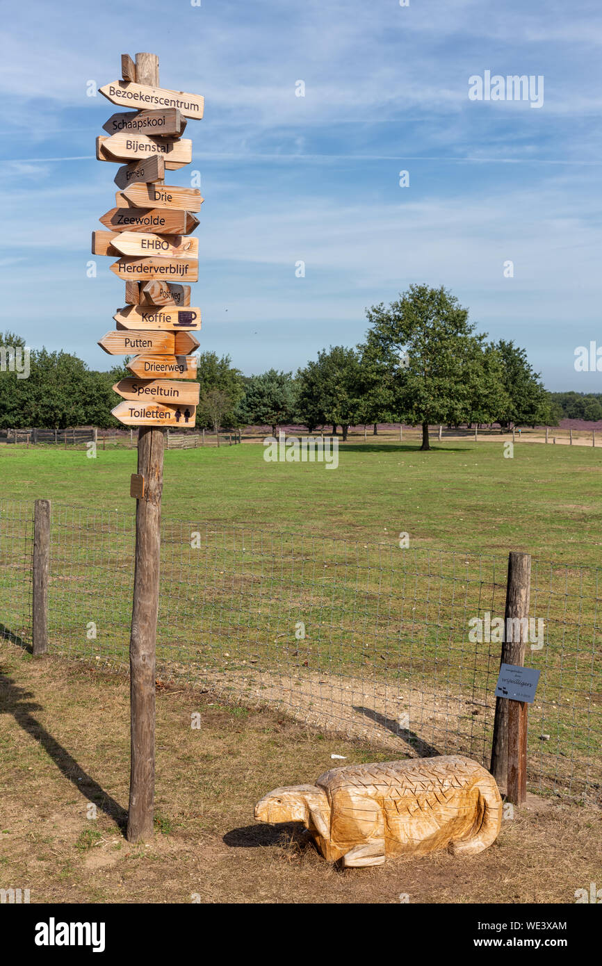 Pecora in legno e in pole con segni freccia vicino a Ermelo ovile Foto Stock
