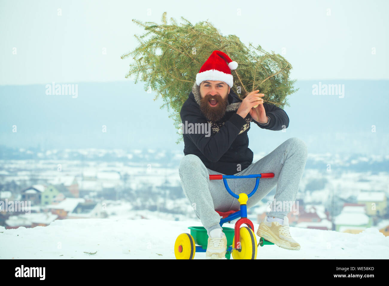 Felice hipster portando albero di natale sul bianco della neve Foto Stock