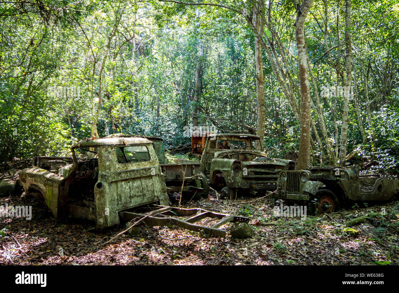 Vecchi veicoli in decadimento nella foresta vicino a Tikal, Guatemala Foto Stock