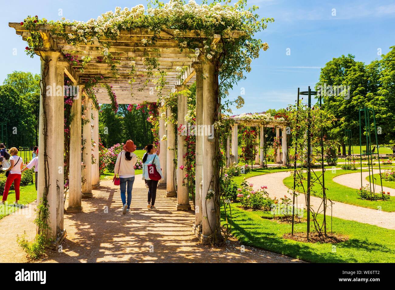 Francia, Rhone, Lione, Parco di la Tete d'Or, la Roseraie Internationale Foto Stock