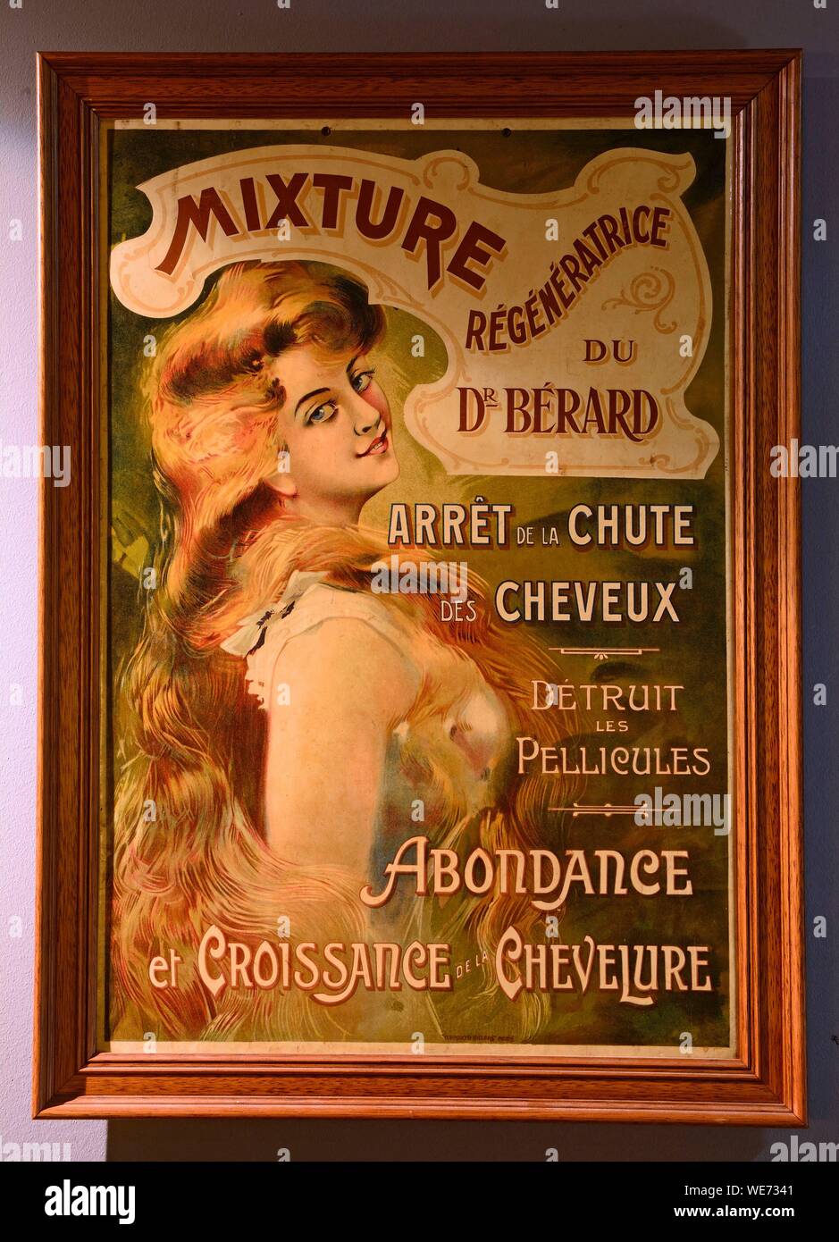 Francia, Loiret, Chilleurs aux Bois, castello di Chamerolles, ex poster per la miscela rigenerativa del medico Berard Foto Stock