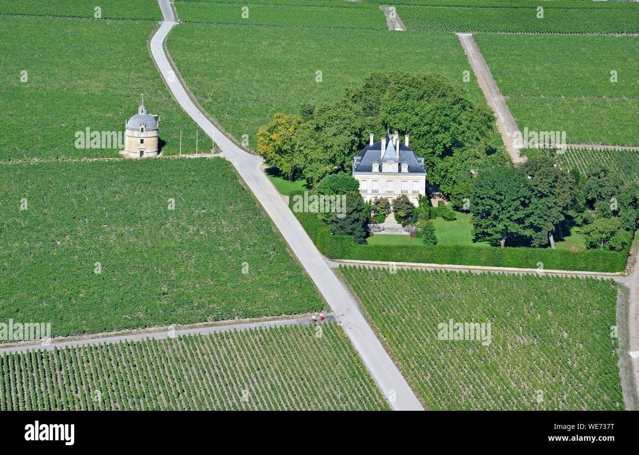 Francia, Gironde, Pauillac, regione Medoc, Chateau Latour dove Premier Grand Cru il vino è prodotto e chateau Pichon Longueville area in background (vista aerea) Foto Stock