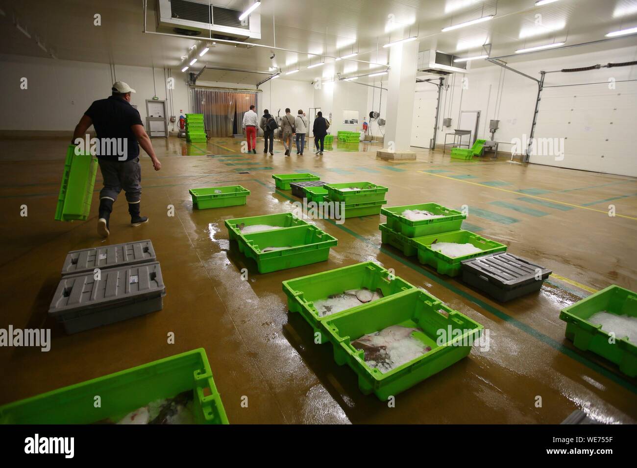 Francia, Pas de Calais, Boulogne sur Mer, il porto di pesca, il magazzino in cui sono ordinati i pesci che sono stati appena scaricati dalle barche di ritorno dalla pesca Foto Stock