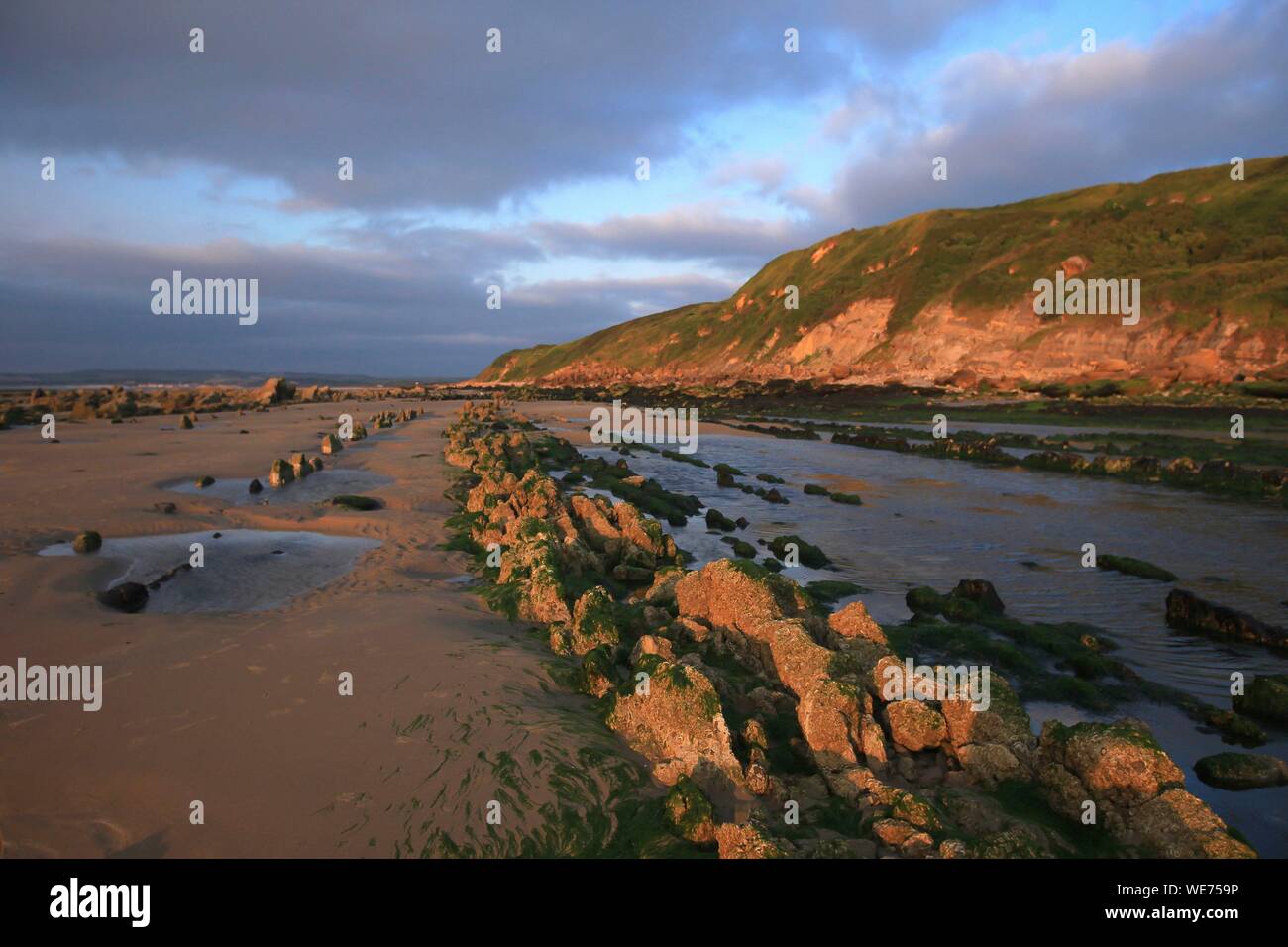 Francia, Pas de Calais, Audinghen, Cap Gris Nez, Framzelle spiaggia di Cape Gris Nez a bassa marea Foto Stock