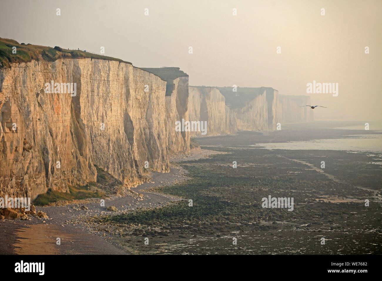 Francia, Somme, Ault, scogliere in serata nebbia tra Ault e Mers les Bains Foto Stock