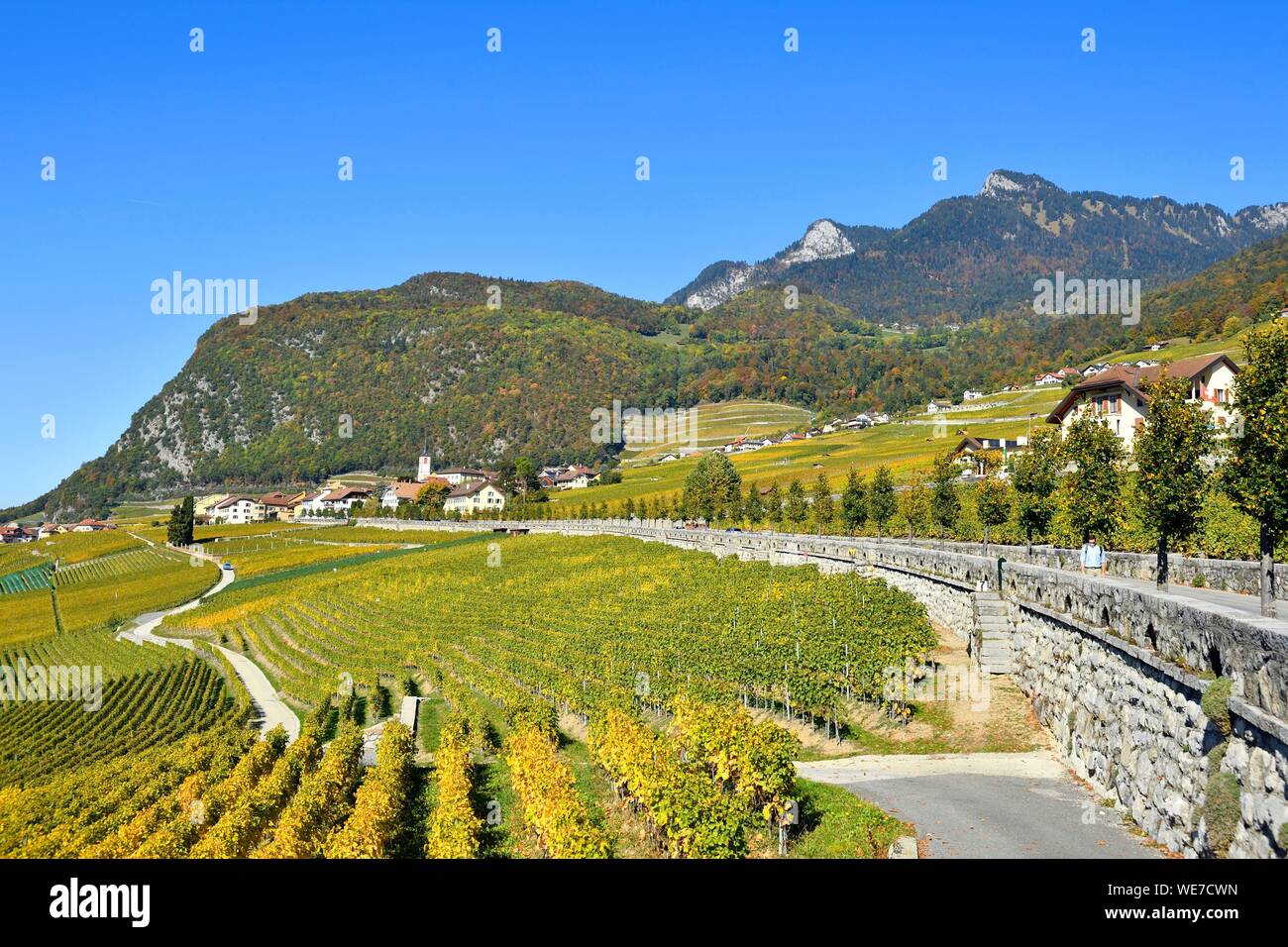 La Svizzera, nel Cantone di Vaud, Aigle, cittadina circondata da vigneti Foto Stock