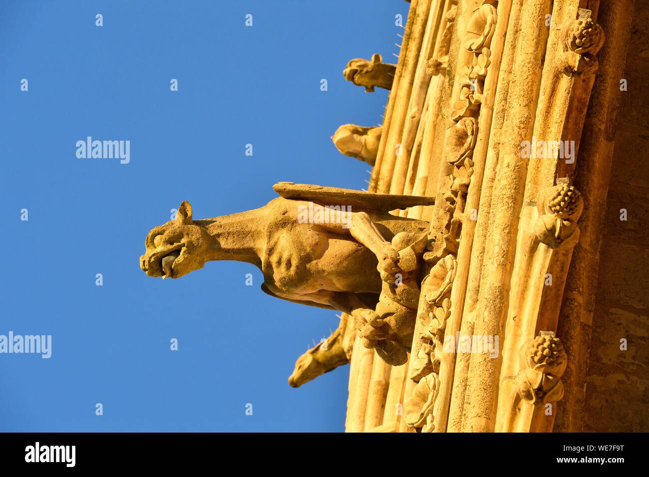 Francia, Somme, Amiens, la cattedrale di Notre Dame, gioiello dell'arte gotica, classificato come patrimonio mondiale dall'UNESCO, la facciata occidentale, doccioni Foto Stock