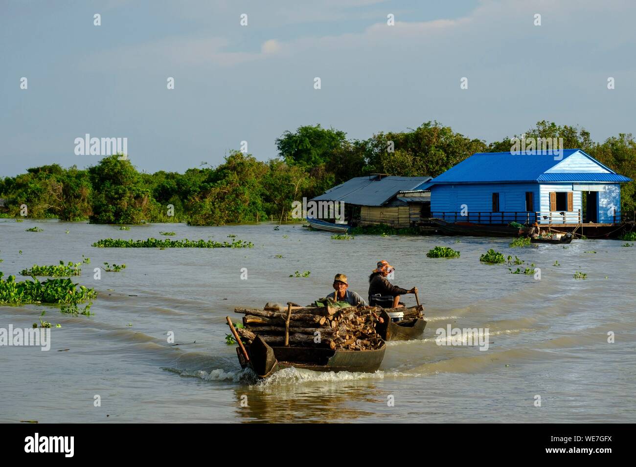 Cambogia, Kompong Kleang o Kampong Kleang, palafitte abitato lungo il lago Tonle Sap, il trasporto della legna da ardere, imboschimento Foto Stock