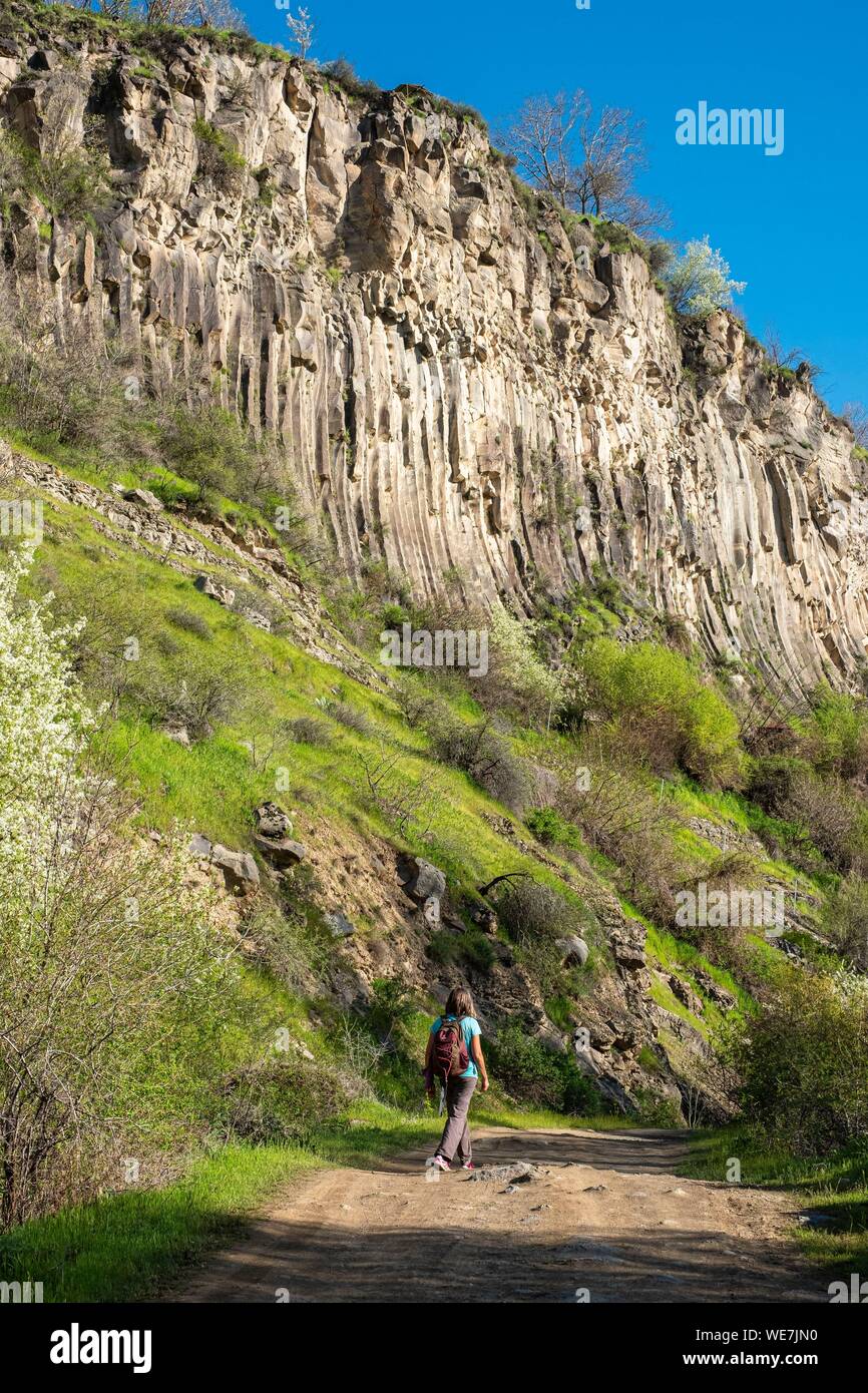 Armenia, regione di Kotayk, Garni, basalto formazioni di colonna lungo il fiume Azat Valley chiamato sinfonia di pietre Foto Stock