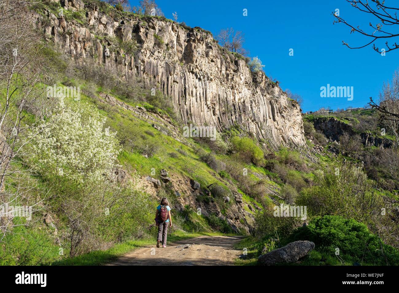 Armenia, regione di Kotayk, Garni, basalto formazioni di colonna lungo il fiume Azat Valley chiamato sinfonia di pietre Foto Stock