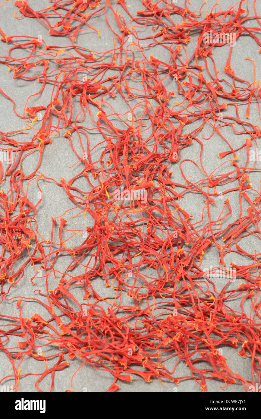 Francia, Tarn, Castres, Safran casa dalla regione del Tarn, locale lo zafferano (Crocus sativus) Foto Stock