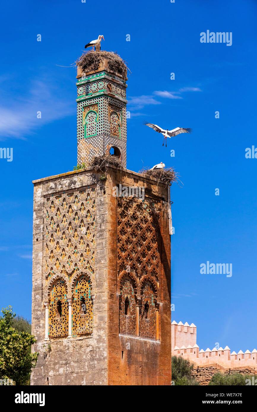 Il Marocco, Rabat, elencato come patrimonio mondiale dall'UNESCO, la moschea nel vecchio santuario musulmano di Chellah Foto Stock