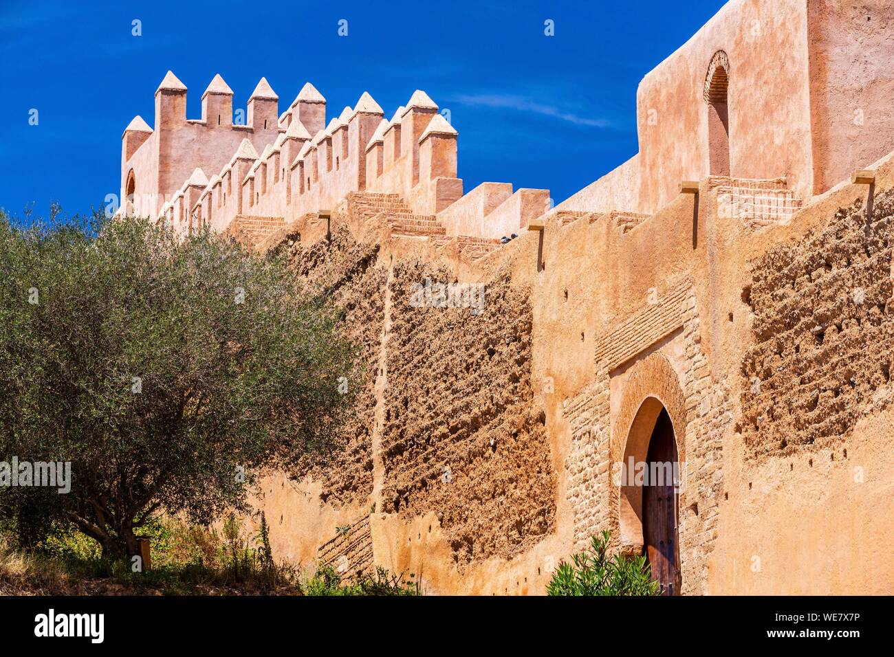 Il Marocco, Rabat, elencato come patrimonio mondiale dall UNESCO, il vecchio santuario musulmano di Chellah Foto Stock