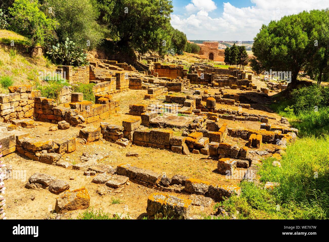 Il Marocco, Rabat, elencato come patrimonio mondiale dall UNESCO, il vecchio santuario musulmano di Chellah Foto Stock