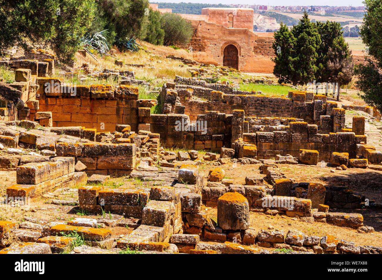 Il Marocco, Rabat, elencato come patrimonio mondiale dall UNESCO, il vecchio santuario musulmano di Chellah Foto Stock