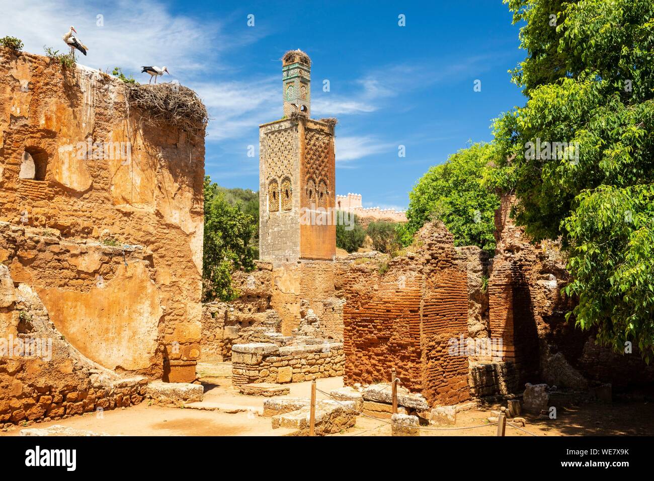 Il Marocco, Rabat, elencato come patrimonio mondiale dall'UNESCO, la moschea nel vecchio santuario musulmano di Chellah Foto Stock